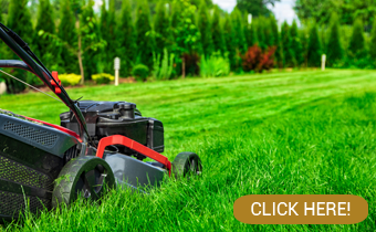 Personalized lawn care